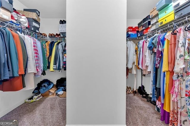 spacious closet with carpet flooring