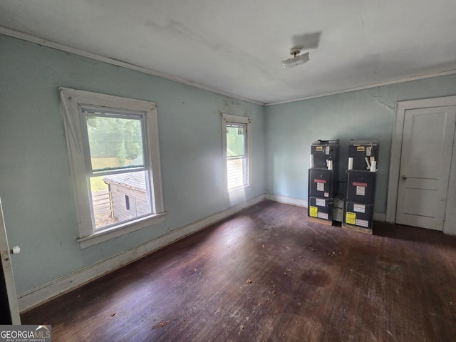 misc room featuring dark hardwood / wood-style flooring and crown molding