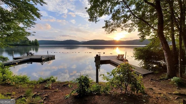 dock area with a water view