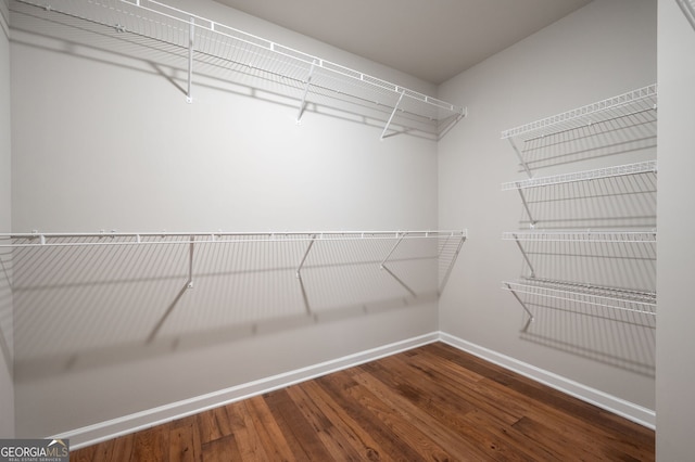 spacious closet featuring wood-type flooring