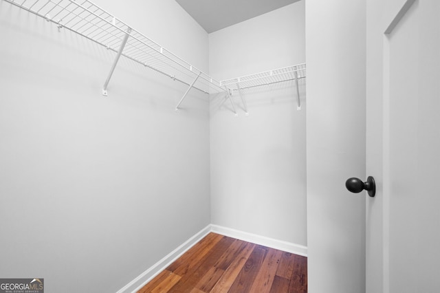 spacious closet featuring hardwood / wood-style flooring