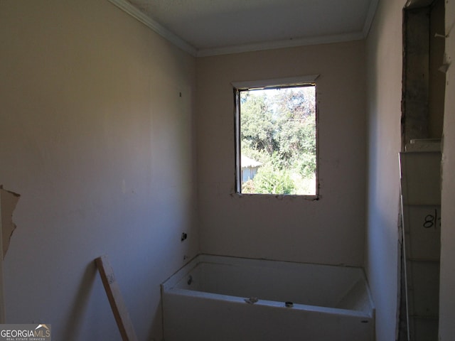 bathroom featuring ornamental molding and a bath