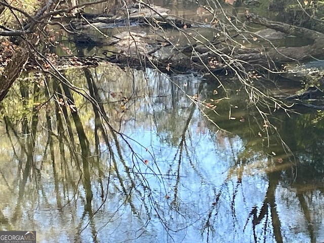 view of local wilderness