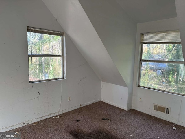 bonus room with a wealth of natural light and vaulted ceiling