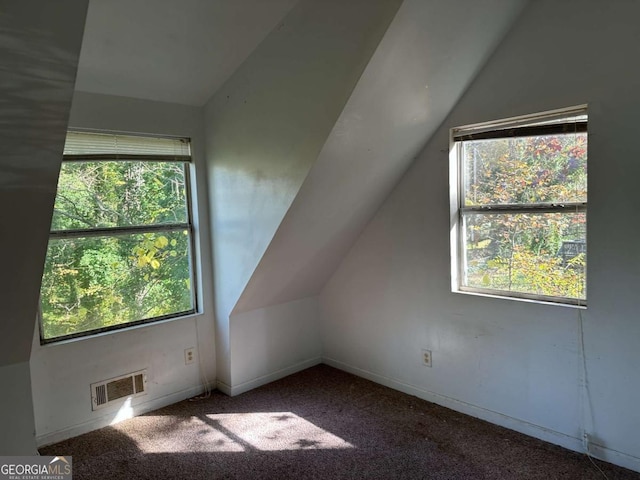 bonus room featuring carpet, plenty of natural light, and lofted ceiling