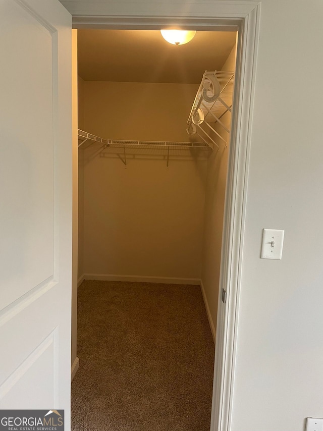 spacious closet featuring carpet floors