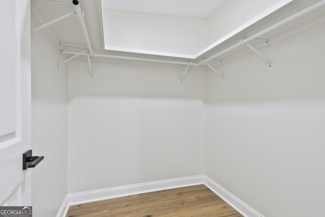 walk in closet featuring hardwood / wood-style flooring