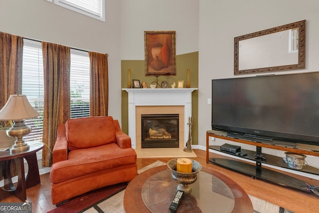 living room featuring wood-type flooring