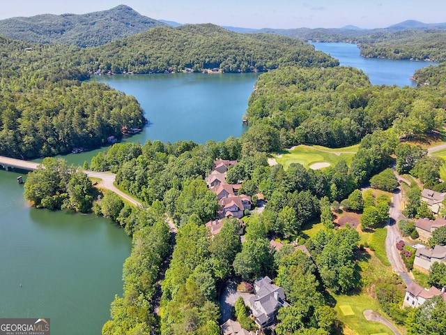 birds eye view of property featuring a water and mountain view