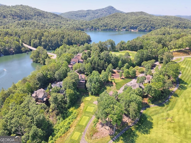 bird's eye view featuring a water and mountain view