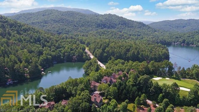 birds eye view of property featuring a water and mountain view