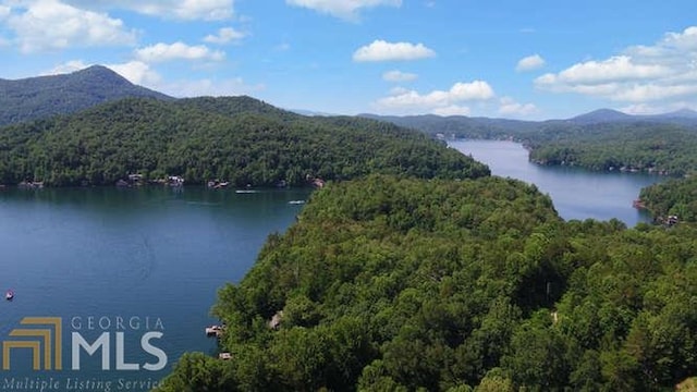 bird's eye view featuring a water and mountain view