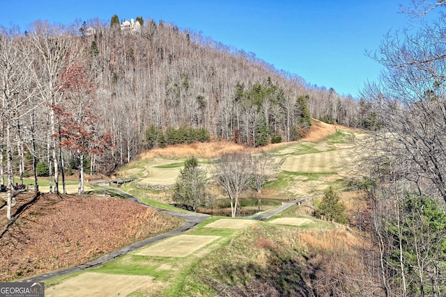 view of mountain feature