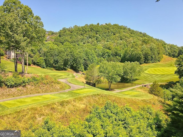 view of community with a lawn