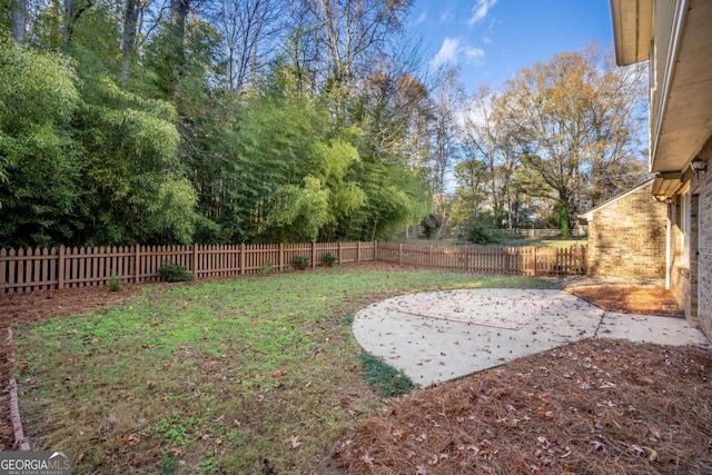 view of yard featuring a patio