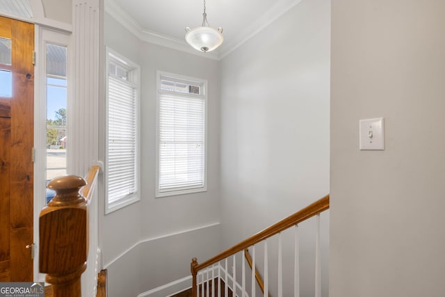 dining space featuring dark wood-style floors, crown molding, a ceiling fan, and a healthy amount of sunlight