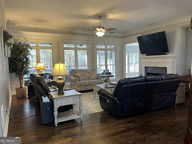 living room featuring crown molding, dark hardwood / wood-style floors, and ceiling fan