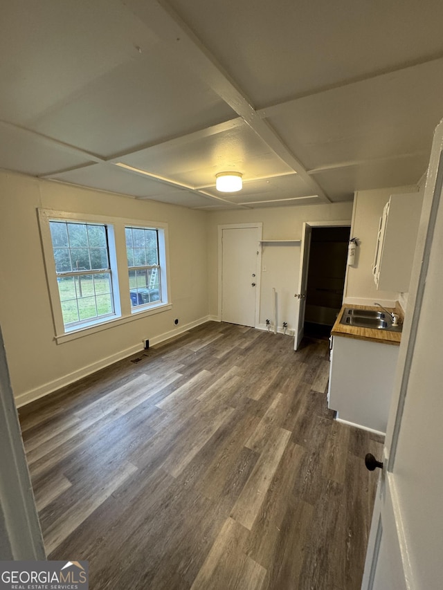 interior space featuring dark hardwood / wood-style flooring and sink