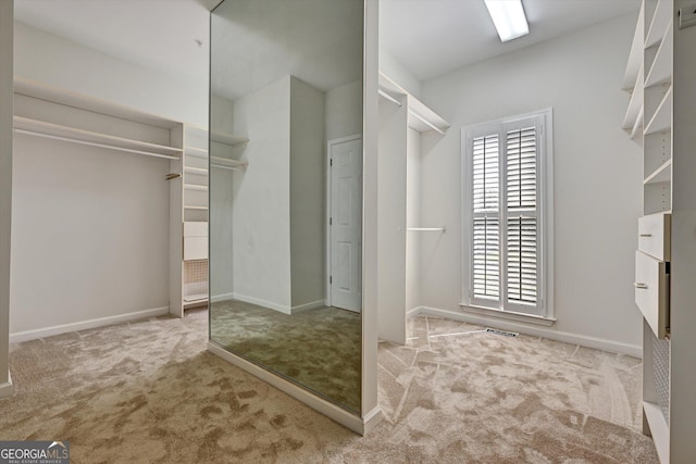 spacious closet with light colored carpet