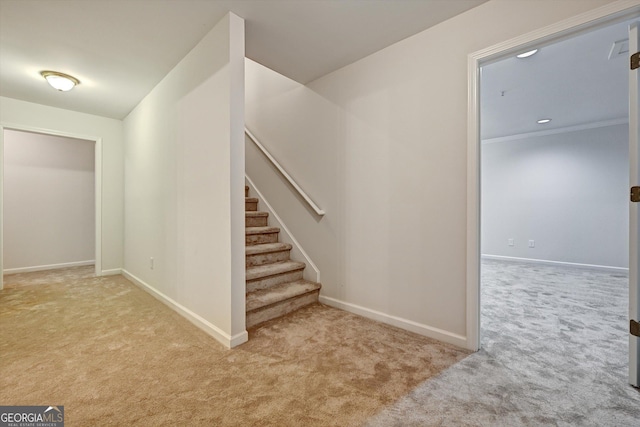 stairs featuring carpet floors and crown molding