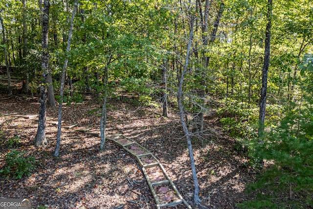 view of local wilderness