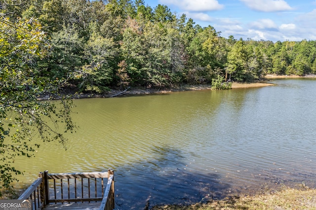 property view of water