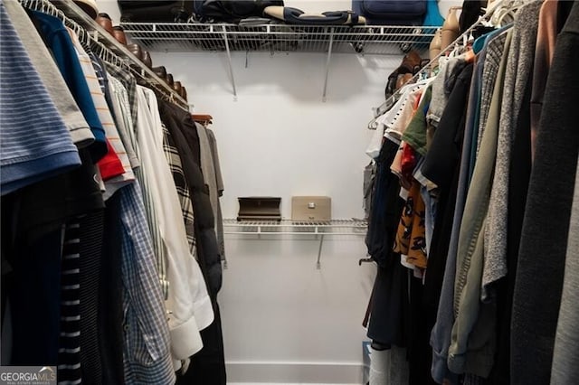 view of spacious closet