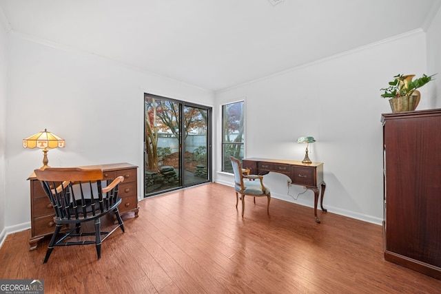 home office featuring crown molding and wood-type flooring