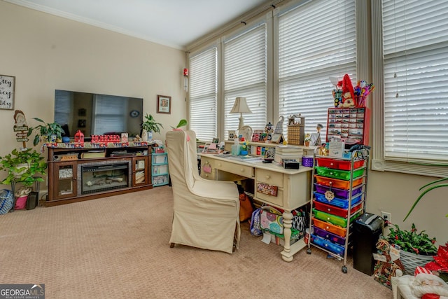 office with ornamental molding and carpet flooring