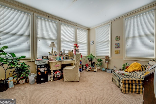 interior space featuring carpet flooring