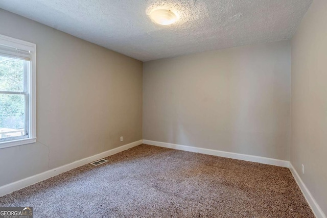 carpeted spare room with a textured ceiling and a wealth of natural light