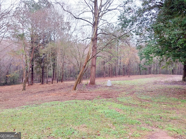 view of yard featuring a wooded view