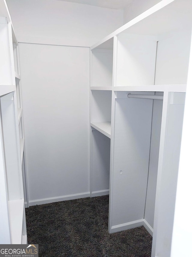 walk in closet featuring dark colored carpet