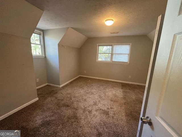 bonus room with carpet flooring, a textured ceiling, and lofted ceiling