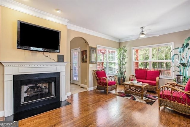 living room featuring wood-type flooring, ceiling fan, and ornamental molding