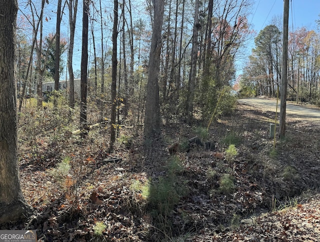 0 Cactus Rd, Lavonia GA, 30553 land for sale