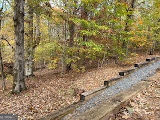 view of local wilderness