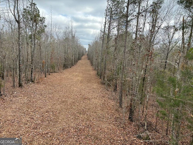 view of local wilderness