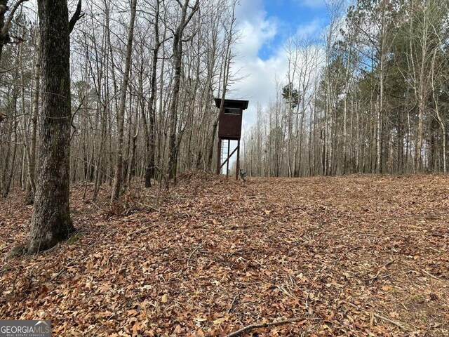 view of local wilderness