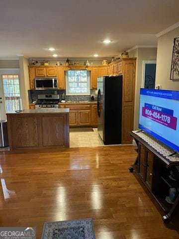 kitchen with backsplash, appliances with stainless steel finishes, light hardwood / wood-style flooring, and a wealth of natural light