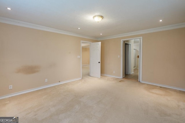 interior space featuring light colored carpet and ornamental molding