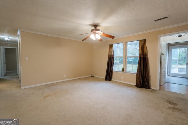 carpeted empty room with ornamental molding, a textured ceiling, and a wealth of natural light