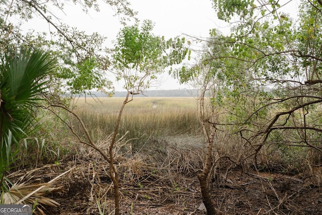 view of local wilderness featuring a rural view