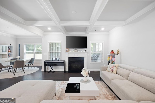 living room with beamed ceiling, dark hardwood / wood-style floors, crown molding, and coffered ceiling