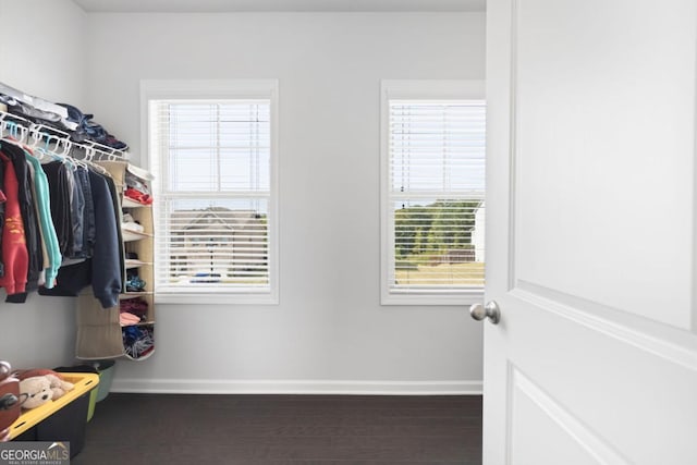 spacious closet featuring dark wood-type flooring