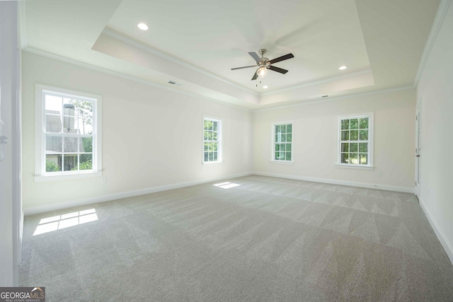 unfurnished room featuring a healthy amount of sunlight, crown molding, and a tray ceiling