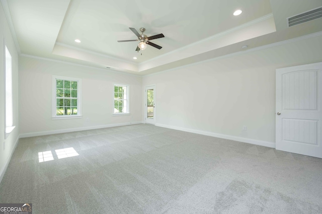 spare room featuring a raised ceiling, carpet flooring, and ornamental molding