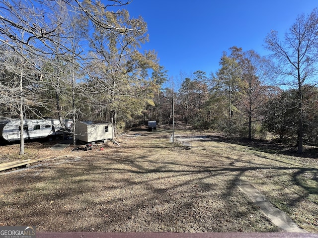 view of yard with a storage unit