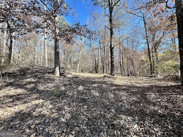 view of local wilderness