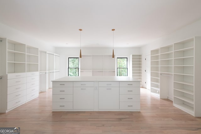 spacious closet featuring light hardwood / wood-style floors